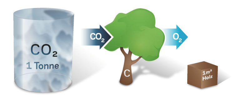 ch_1fm_holz_1t_co2.jpg